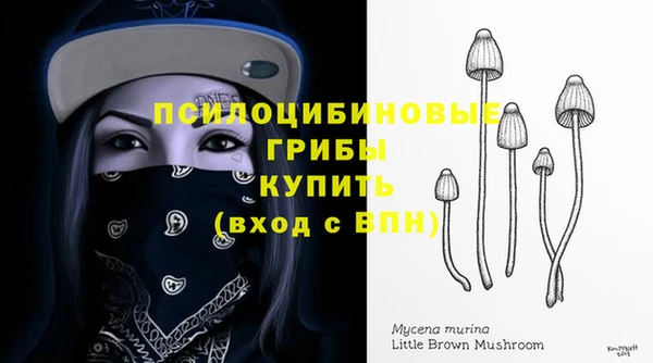 крисы Гусь-Хрустальный