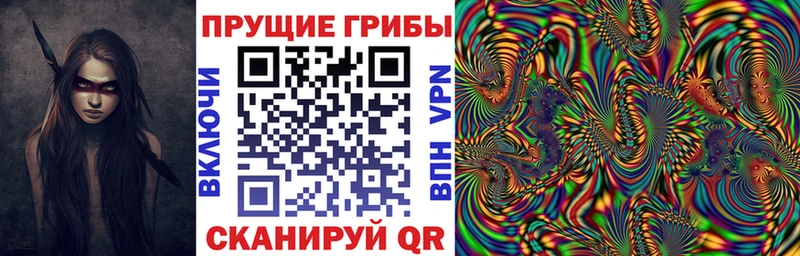 Псилоцибиновые грибы Cubensis  Купить где  Ростов-на-Дону 